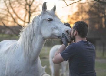 Mand og hest