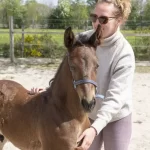 Dame med hest
